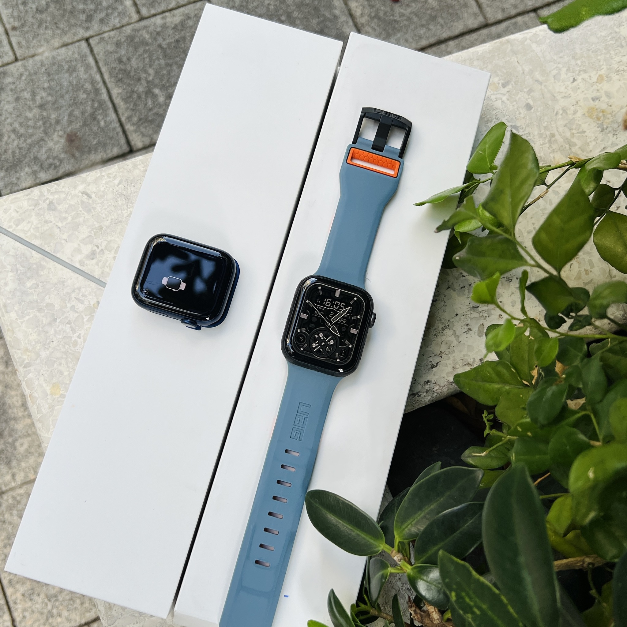 apple watch series 6