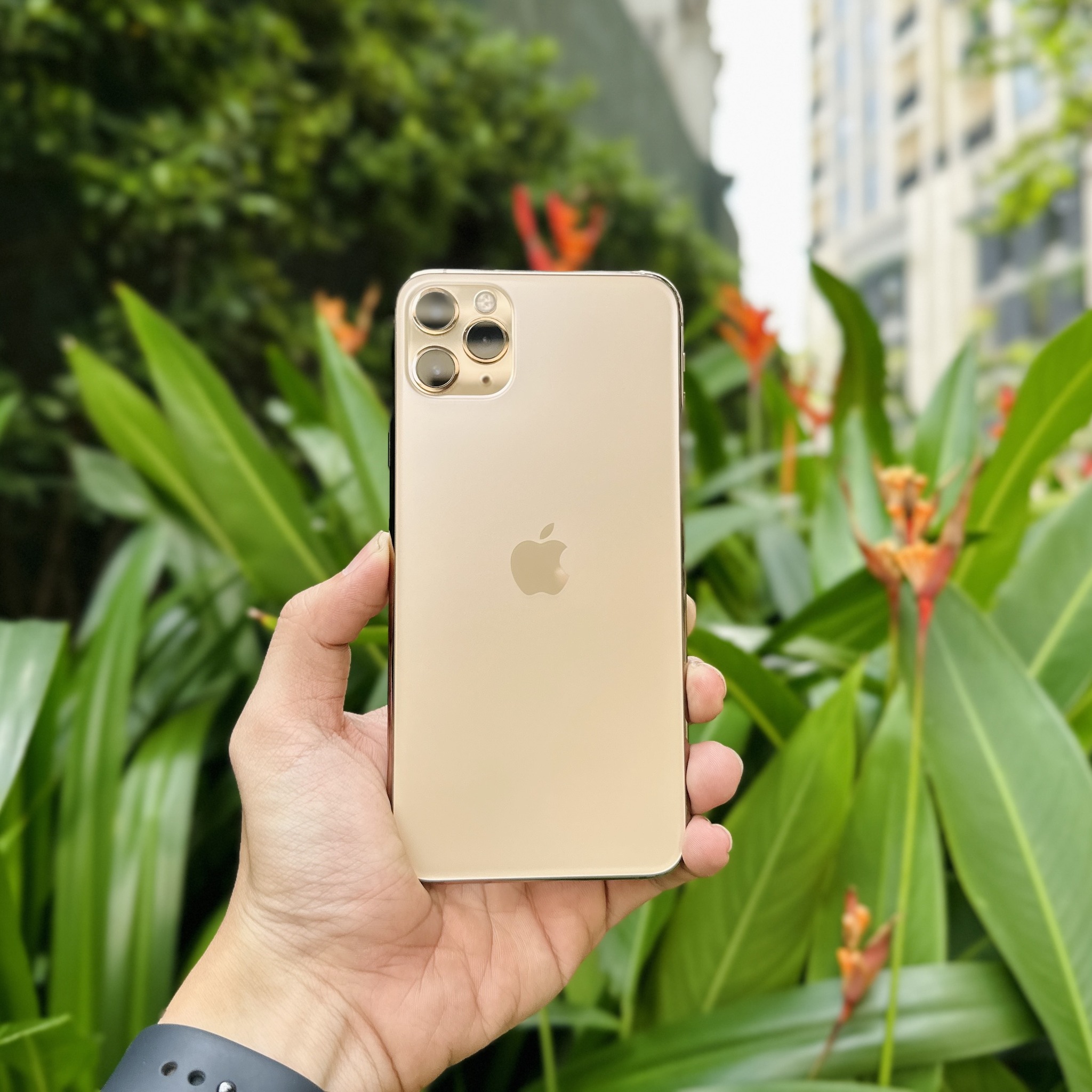 iphone 11 pro max chính hãng vna