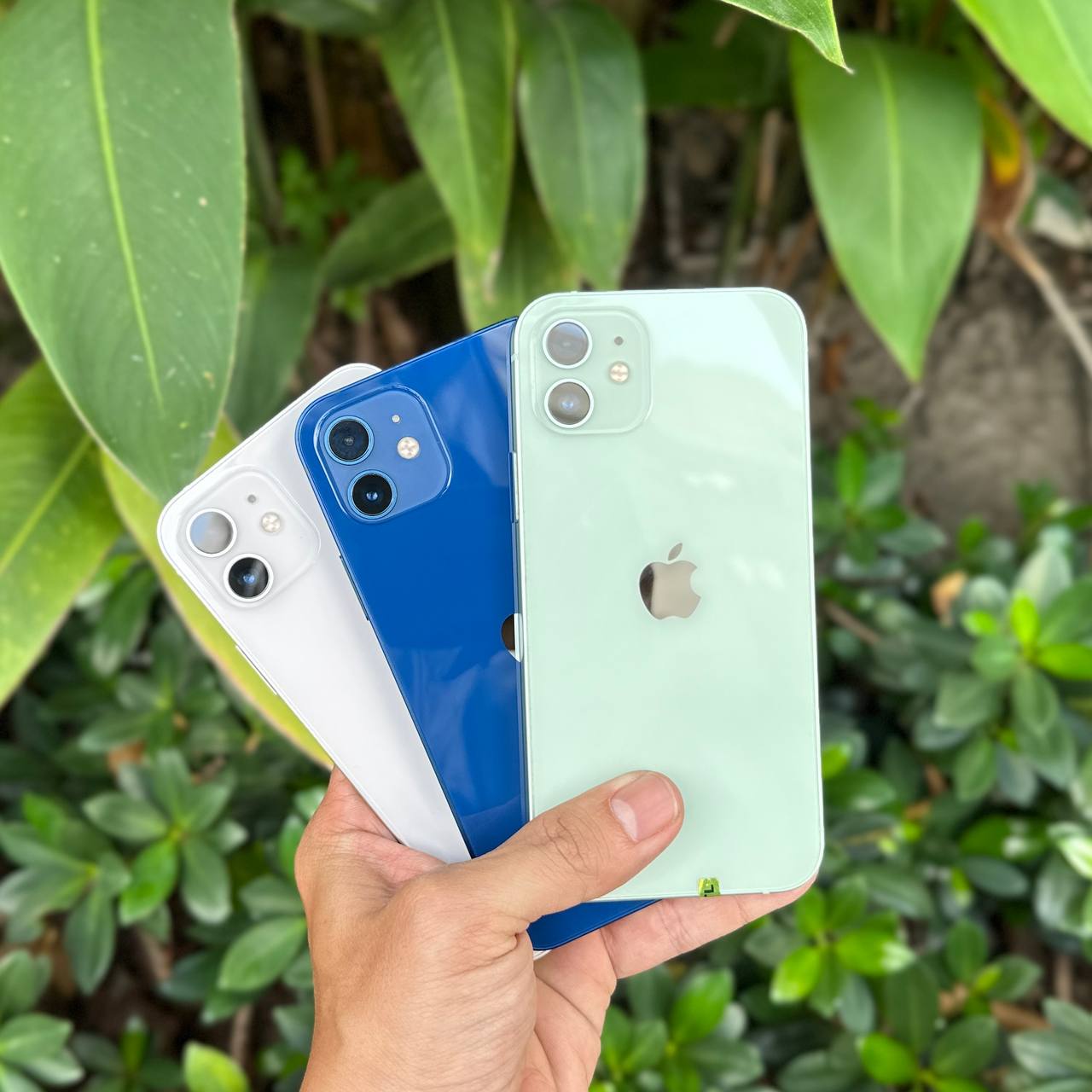 iphone 12 quốc tế