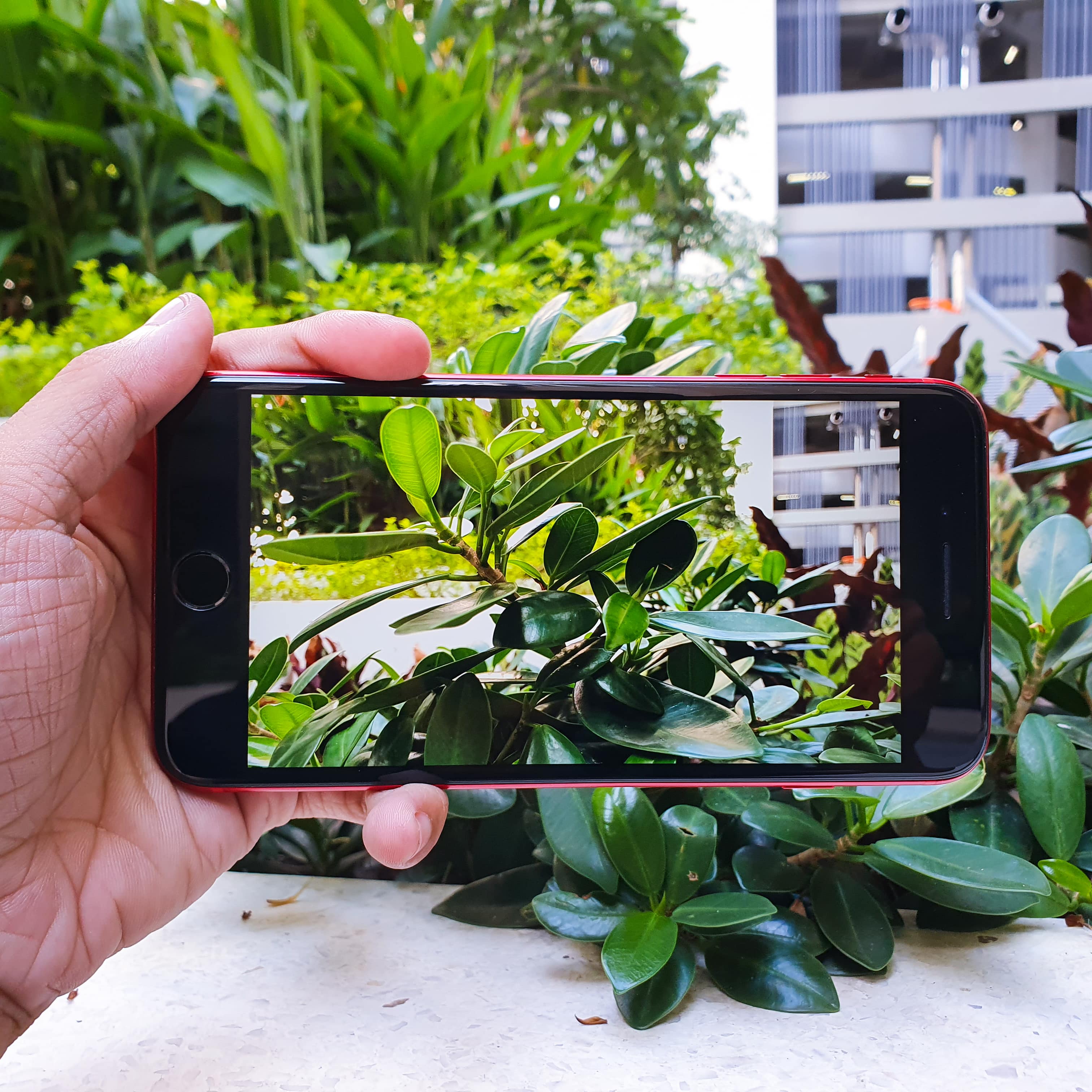camera iphone 8 plus