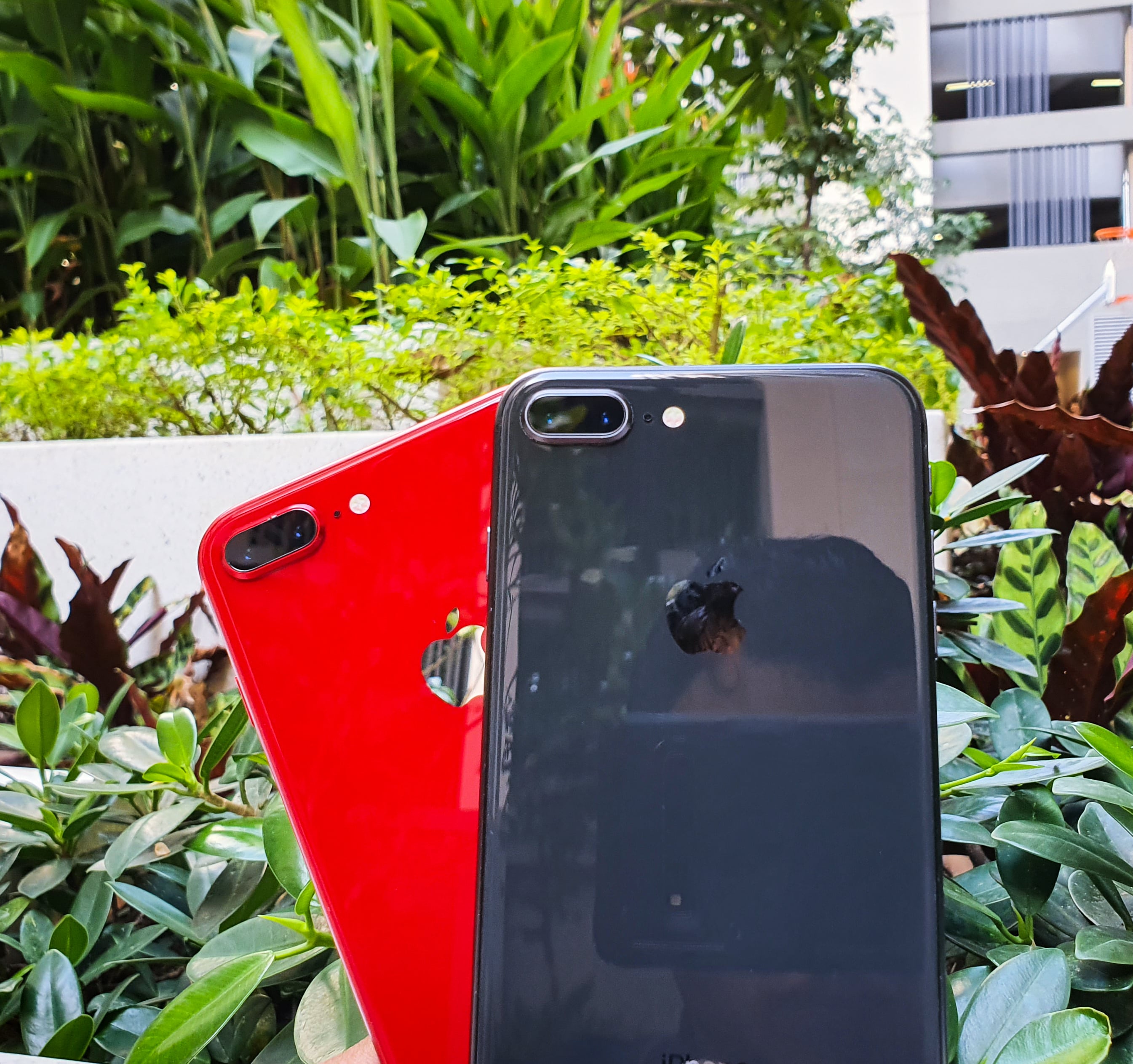 iphone 8 Plus