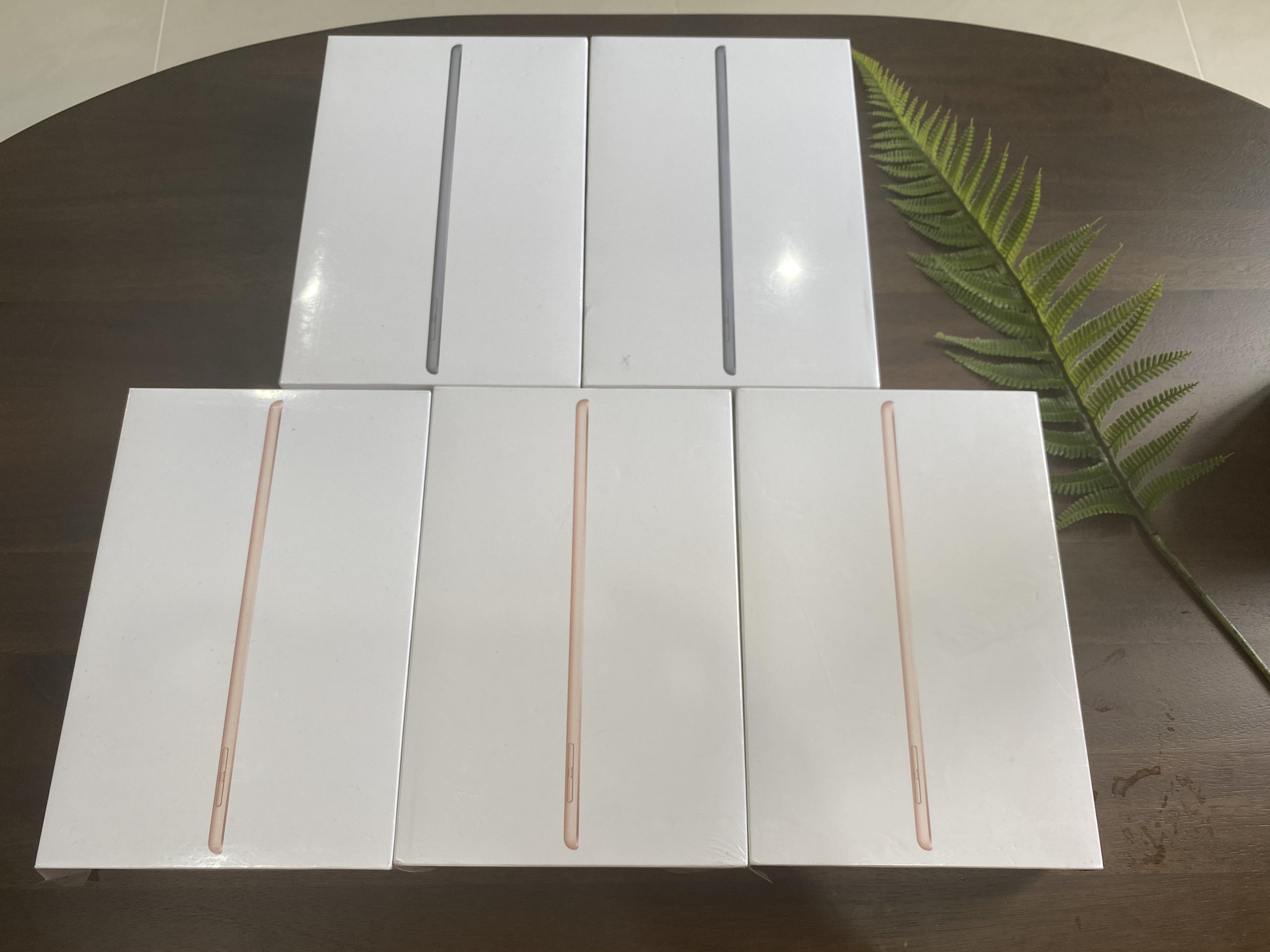 iPad Mini 5 