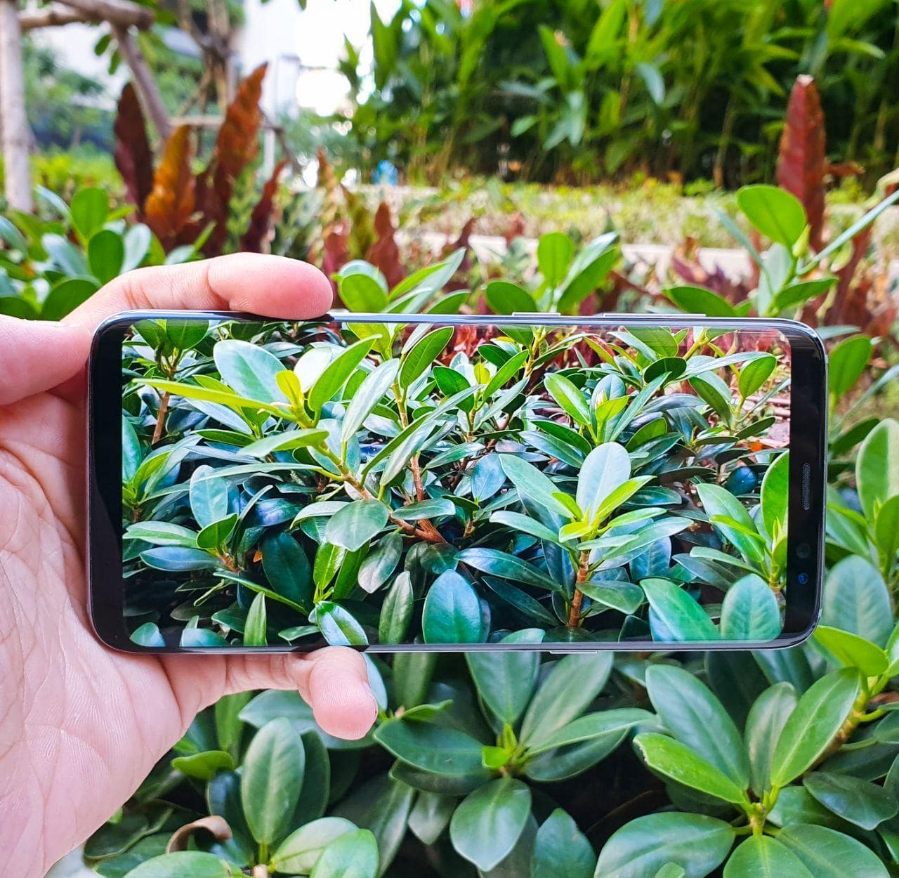 camera sắc nét Samsung galaxy S8 cu