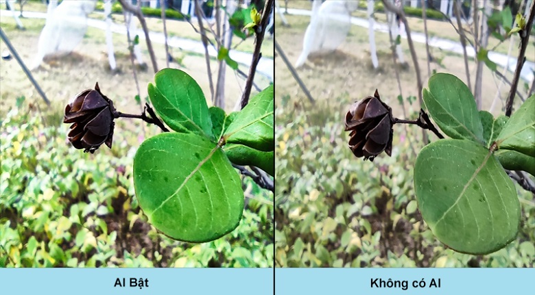 ảnh trên poco x3 pro