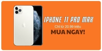 giá iphone 11 pro max