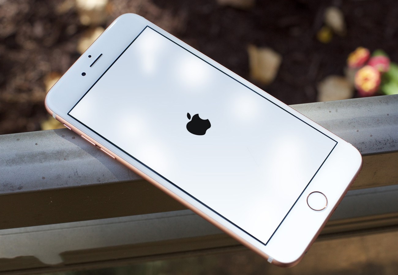 iPhone iPhone