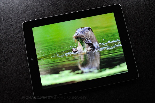 iPad 3 cũ màn hình sắc nét