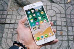 iphone-8-nut-bam iphone-8-nut-bam