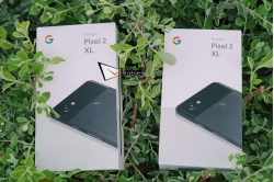 google-pixel-2-xl-128gb-moi-fullbox-gia-dang-rat-tot-giam-sap-san-chi-con-6-99-trieu google-pixel-2-xl-128gb-moi-fullbox-gia-dang-rat-tot-giam-sap-san-chi-con-6-99-trieu